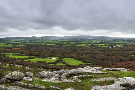 View from Helman Tor
