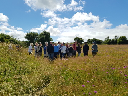 People listening to a talk in a grass field - blue sky and sunshine visible above them