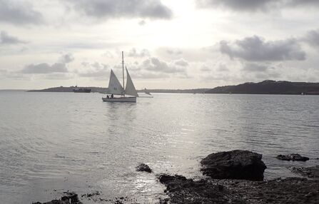 A fal oyster fisheries traditional boat sailing under sail and oar is shown sailing across a grey, calm sea