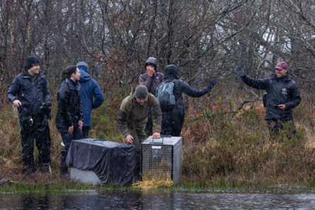 Team celebrate beaver release