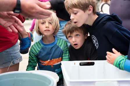 A group of children gazing with awe during a nature engagement activity