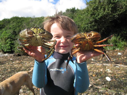 Image shows a child holding a crab in each hand caught during a crabbing activity
