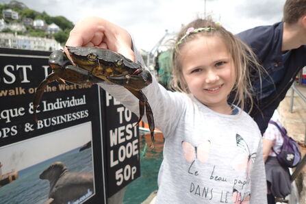 A girl is holding a crab and looking at the camera. The girl was the winner of the 2017 crabbing competition at Looe Festival of the Sea 