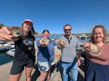 Four people, each holding a labelled native oyster towards the camera