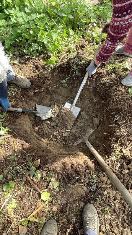 three shovels in a hole in the ground