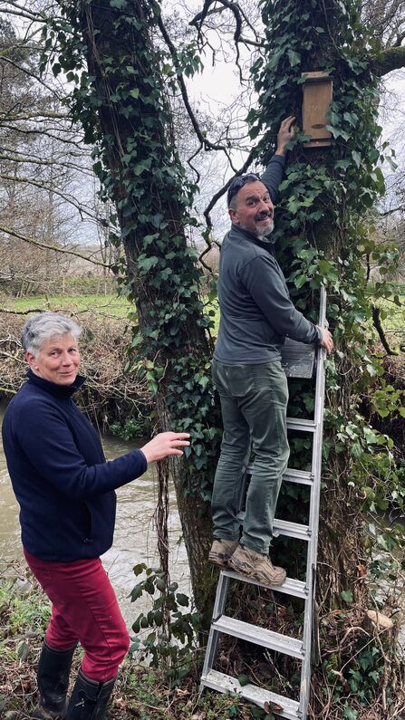 Two people installing a birdbox on a tree - one is up a ladder against the tree, the other beside it. They are turning to smile at the camera