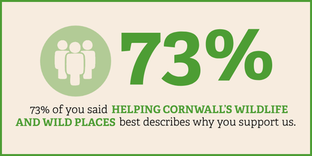 73% of you said helping Cornwall's wildlife and wild places best describes why you support us.