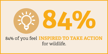 84% of you feel inspired to take action for wildlife.
