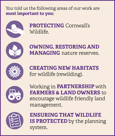 You told us the following areas of our work are important to you: protecting Cornwall's wildlife; owning, restoring and managing nature reserves; creating new habitats for wildlife; working in partnership with farmers and landowners; and ensuring that wildlife is protected by the planning system.