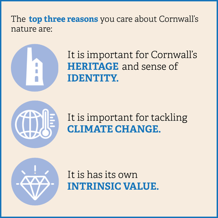 The top three reasons you care about Cornwall's nature are: it is important for Cornwall's sense of heritage and identity; it is important for tackling climate change; and it has its own intrinsic value.