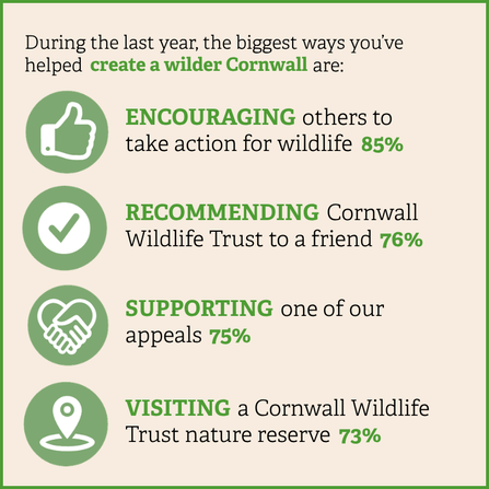 During the last year, the biggest ways you've helped create a wilder Cornwall are: encouraging others to take action for wildlife; recommending Cornwall Wildlife Trust to a friend; supporting one of our appeals; and visiting a Cornwall Wildlife Trust nature reserve.