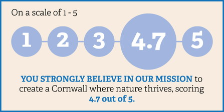 On a scale of 1 - 5, you strongly believe in our mission to create a Cornwall where nature thrives, scoring 4.7 out of 5.
