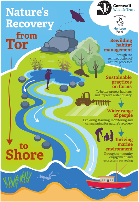 Infographic showing Helman Tor to St Austell Bay and the text "Nature's Recovery from Tor to Shore. Rewilding habitat management, sustainable practices on farms, wider range of people, thriving marine environment"