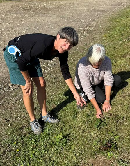 Two people examining plants beside a gravel track.