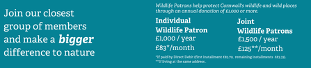 Wildlife Patron example donation amount