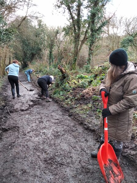 People in coats use shovels to clear a path in a woodland