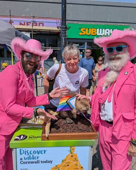 Two men with big beards in pink suit and fluffy cowboy hats with a woman in a white Cornwall Wildlife Trust tshirt and a stuffed beaver between them