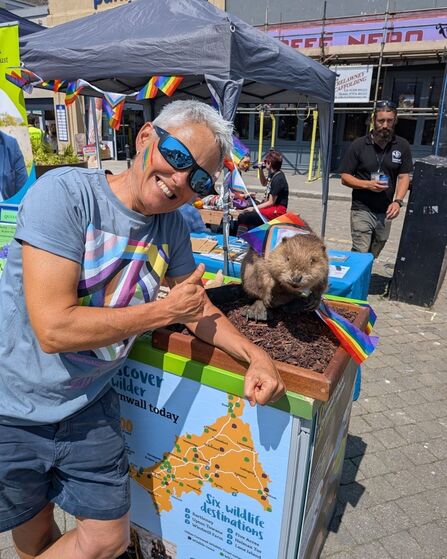 Person in sunglasses giving a thumbs-up beside a beaver on display at a Pride-themed outdoor stall