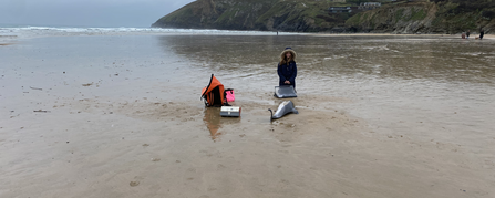 A young marine strandings network volunteer sits on the beach with a stranded dolphin and some of the strandings equipment