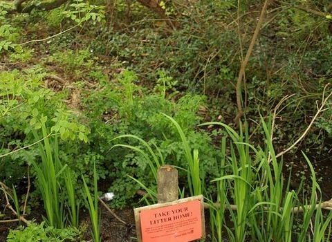 Halbullock Moor