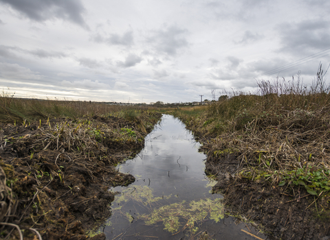 Loggan's Moor