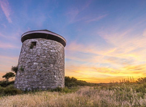 Windmill Farm