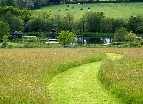 Paths lead the way at Lethytep by Philip Hambly 