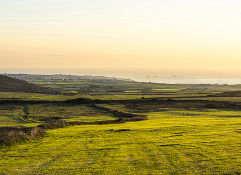 Bartinney Nature Reserve by Ben Watkins