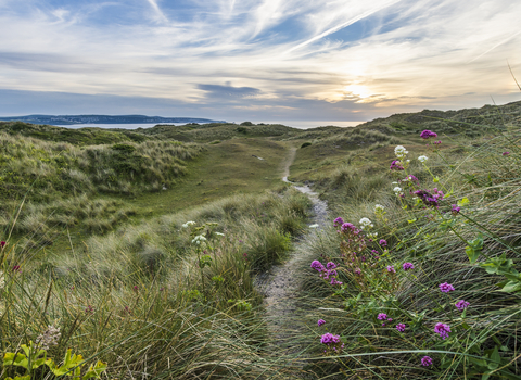 Upton Towan Nature Reserve - Ben Watkins