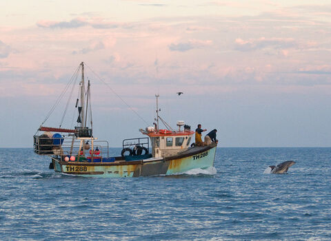 Fishing boat by Adrian Langdon