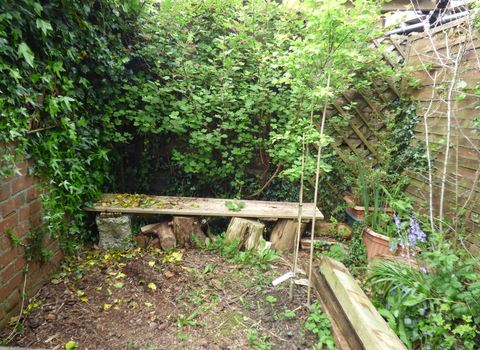 Wall and fence with plants growing up them (there is a hedgehog tunnel under the fence)