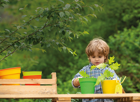 Young boy planting seeds