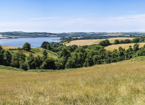 Churchtown Farm Panoramic Landscape