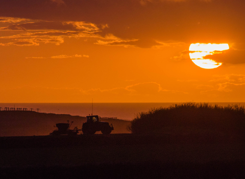 Tractor in the field