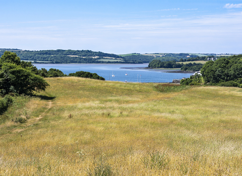 Churchtown Farm nature reserve