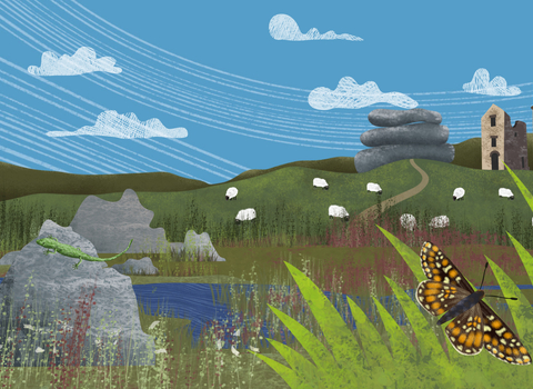 Moorland - Cornwall's Nature Recovery Network