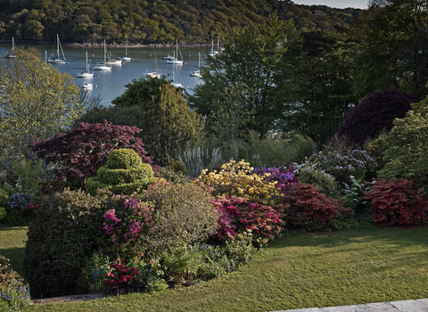 The view at Pedn Billy, which opens for Cornwall Wildlife Trust every year. Image by Nigel Bligh.