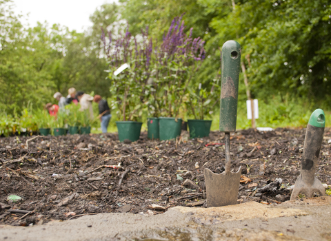 Planting wildlife-friendly plants, Image by Katrina Martin/2020VISION