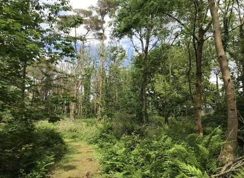 Five Acres