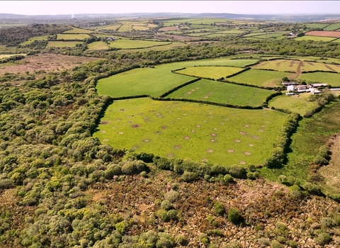 The landscape of Creney Farm and Helman Tor, Image by Ebb & Flow Media | Helman Tor Land Purchase Appeal