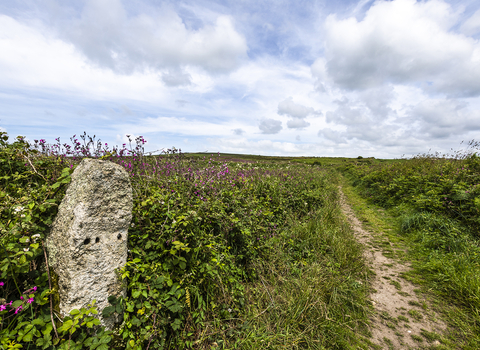 Path to Cornwall Wildlife Trust's Bartinney nature reserve by Ben Watkins