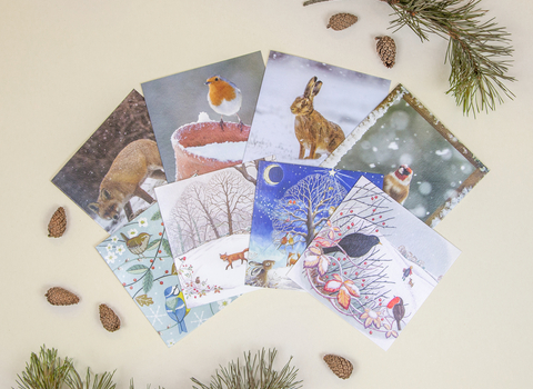 Cornwall Wildlife Trust & Whistlefish Christmas Cards 2022