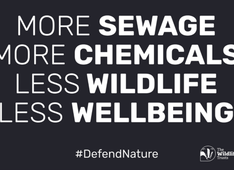 #DefendNature post card campaign example