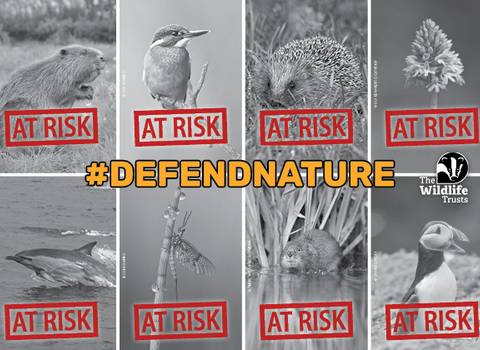 We need you to #DefendNature