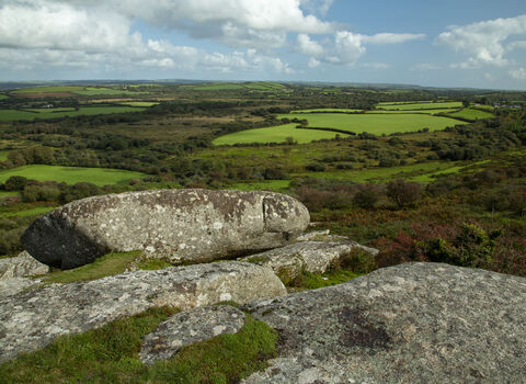 View from Helman Tor