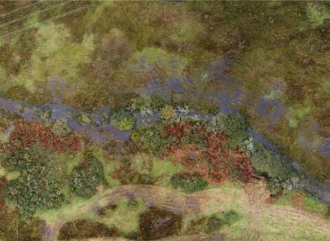 Beaver created wetland at Helman Tor