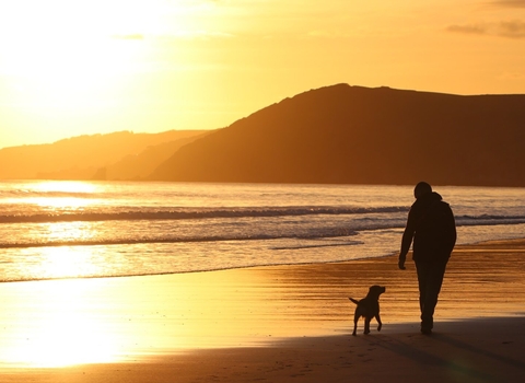 Beach walk with dog