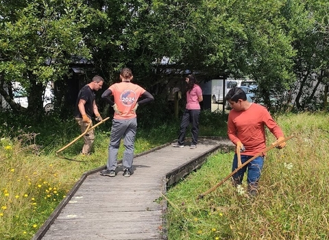 A boardwalk runs through a wildflower field with long grass. 2 people are stood on the boardwalk, and 2 are scything in the fields