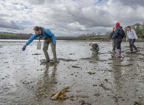 People walking across mud in waders