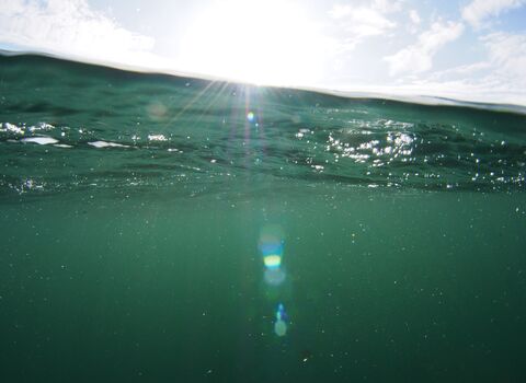 The sea, half underwater, half sky